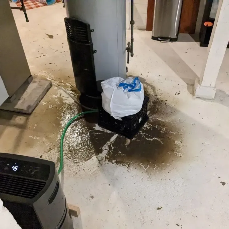 Sewage Backup Cleanup Service in Clay, CA